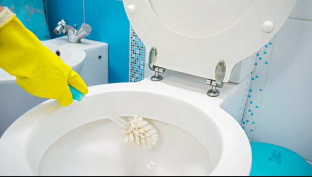 How to Perform the Toilet Cleaning Process